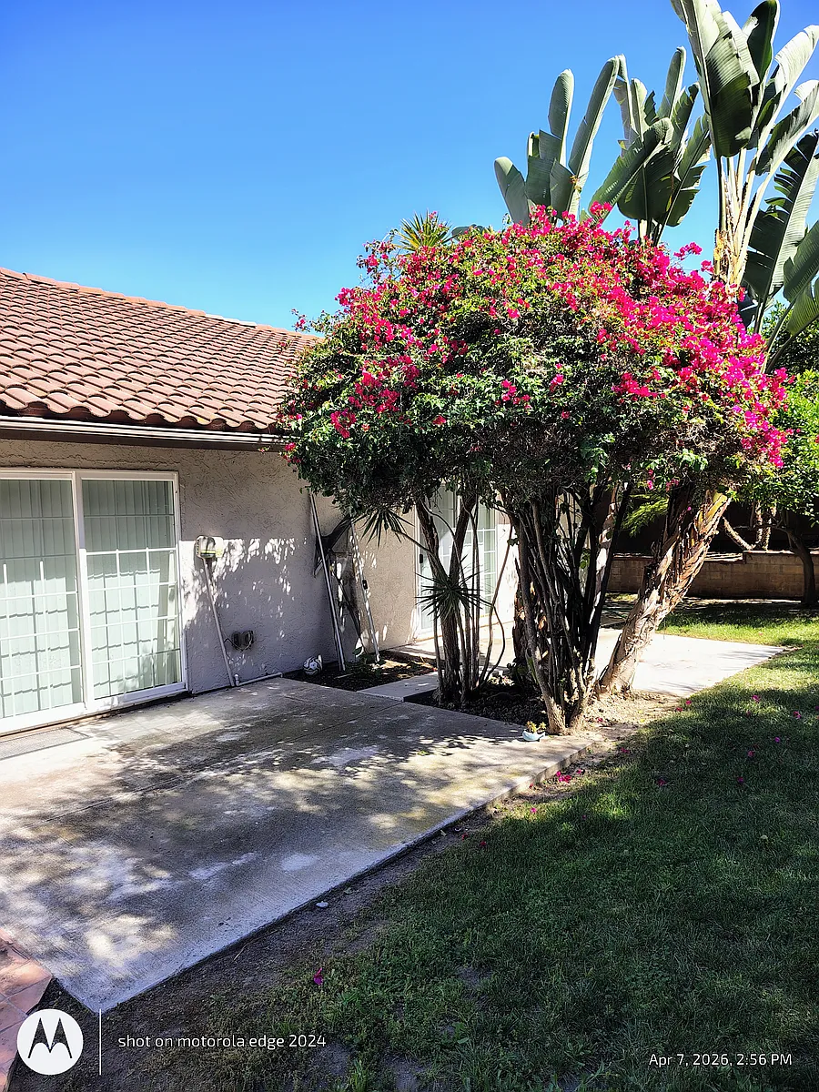 Building Photo - 736 Redlands Pl