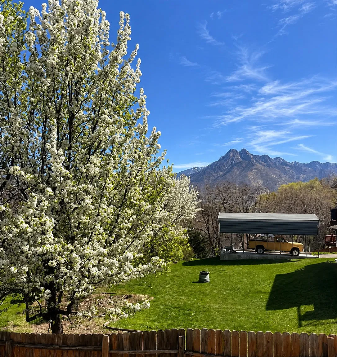 Studio, 650 sqft, $1,100 — Photo 2