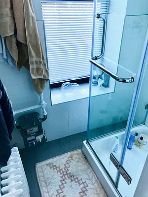 Rented by Boerum Hill Realty | media 52