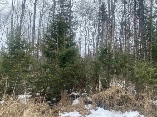 ON STATE HIGHWAY 64 #8430-2, Merrill, WI 54452