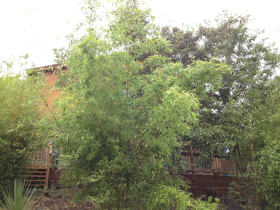 2nd image of 9209 25th Ave NE