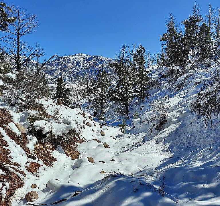 1st image of Hayward Mountain Road 395 #6-E-000