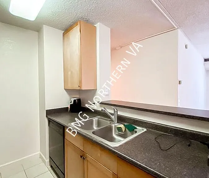 60 S Van Dorn St #309 — Photo 13