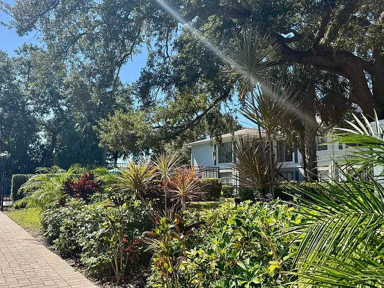 Central Park at East Bay — Photo 16