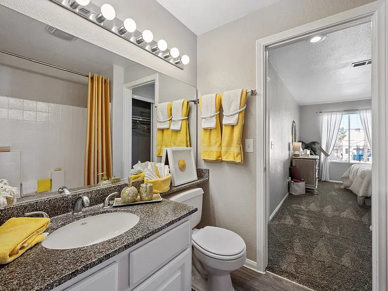 Palm Villas at Whitney Ranch — Photo 7