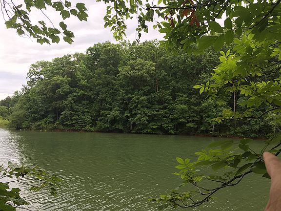 3rd image of Paddlers Cove Way