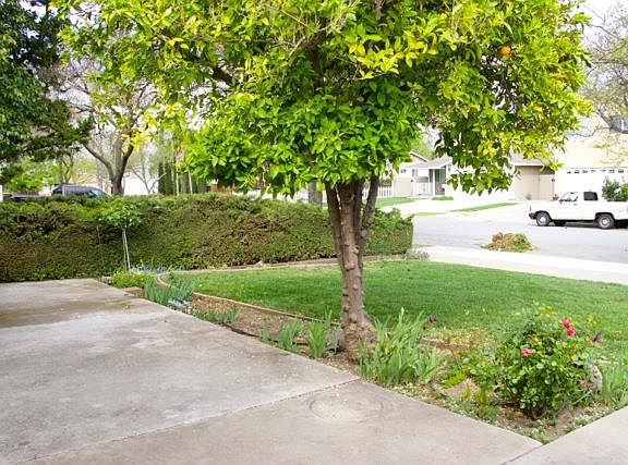 3rd image of 6573 Korhummel Way