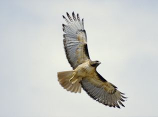 24341 Jacaranda Dr, Tehachapi, CA 93561