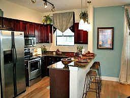Granite tops and Stainless Appliances; Serving Bar