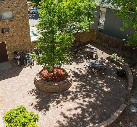3rd image of 1257 Vine St APT 101
