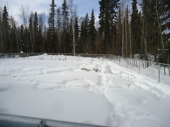 5th image of 1133 N Star Dr