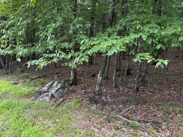 602 Whipporwill Dr, Bushkill, PA 18324