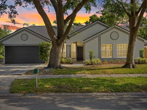 6501 Appaloosa Dr, Tampa, FL 33625