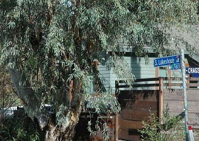 2nd image of 29020 Lakeshore Dr