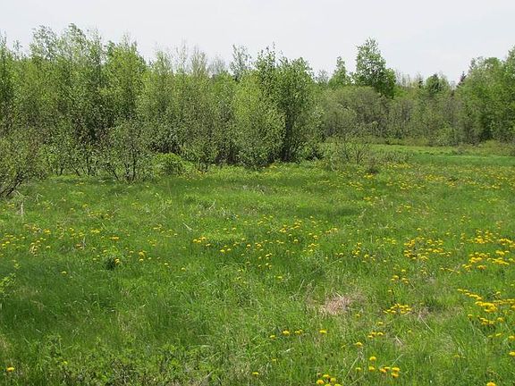 4th image of W Halls Harbour Rd Lot 6