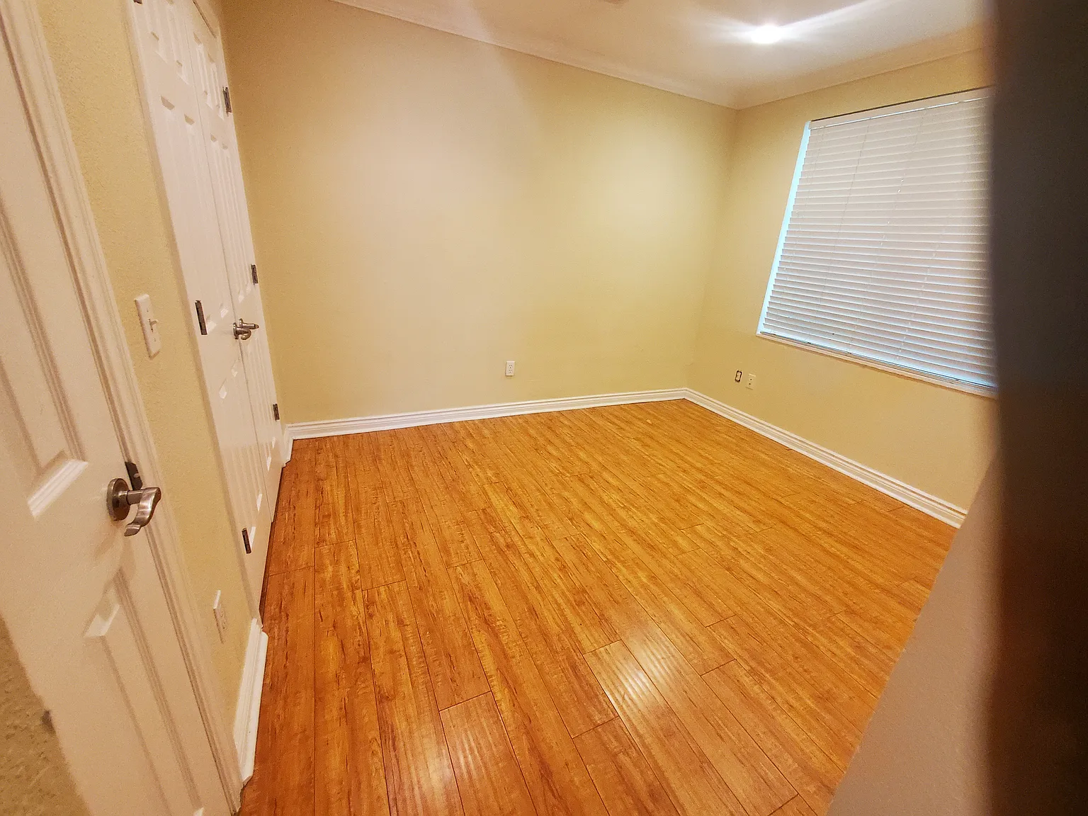 1 bed, 700 sqft, $750 — Photo 4