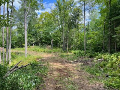 Tbd Tioga Hills Rd, Cohasset, MN, 55721