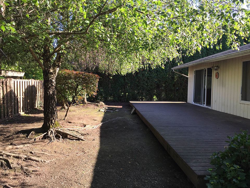 backyard1