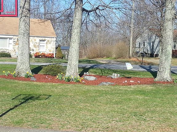 Front Yard view/landscaping