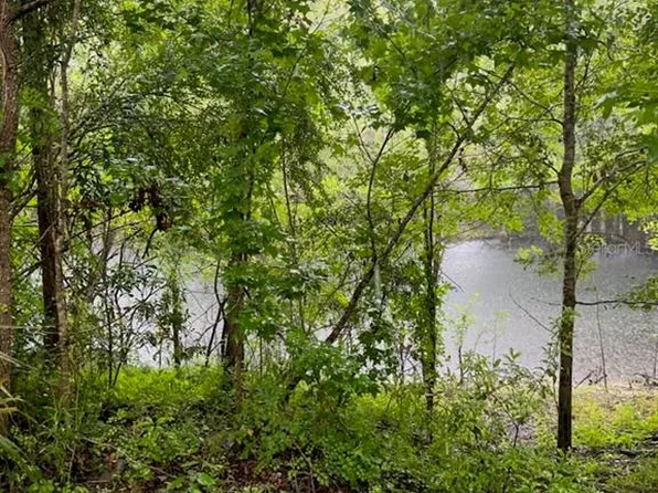 1899 SW 75th Ct, Bell, FL 32619