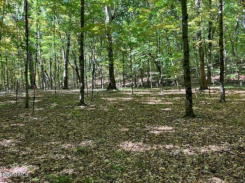 4th image of L6 Burden Lake Road