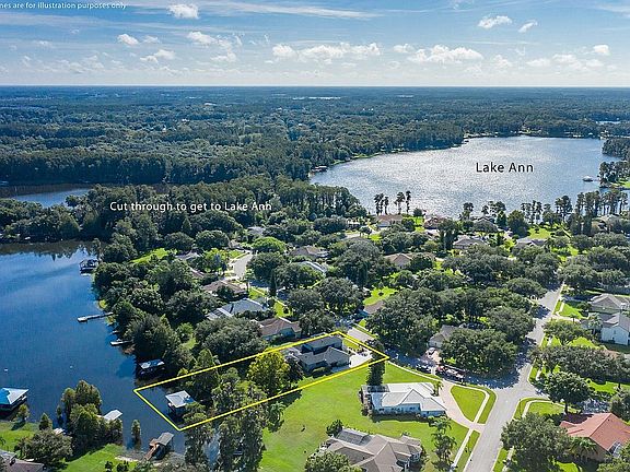 Aerial view of the lakes 