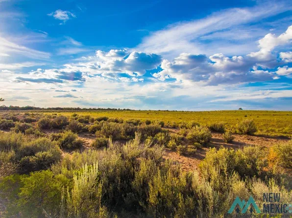 20 Jones Ranch Rd, Vanderwagen, NM 87326