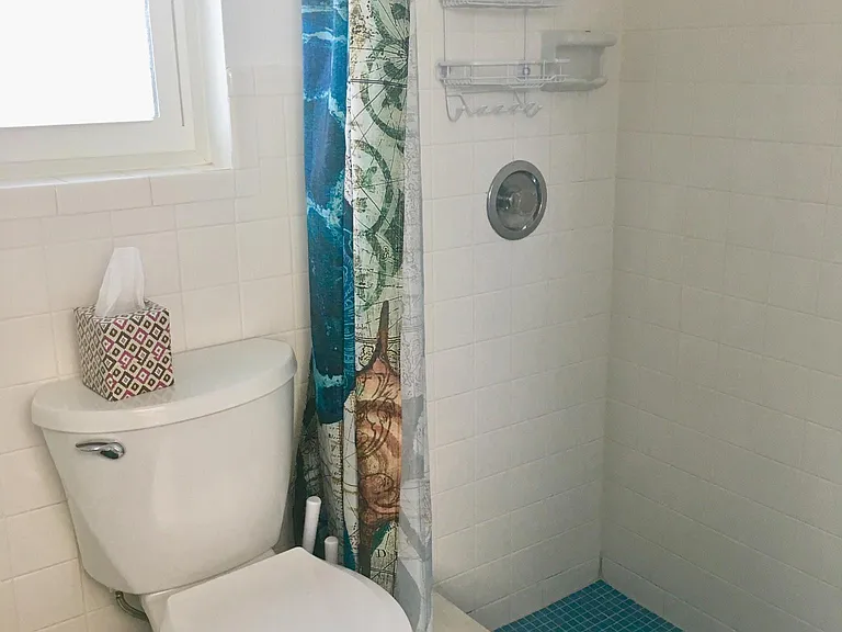 Master bath. Big shower.