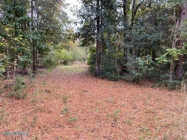 2nd image of 1005 Oyster Point Dr