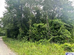 Blackmon Ln, Chesterfield, SC 29709