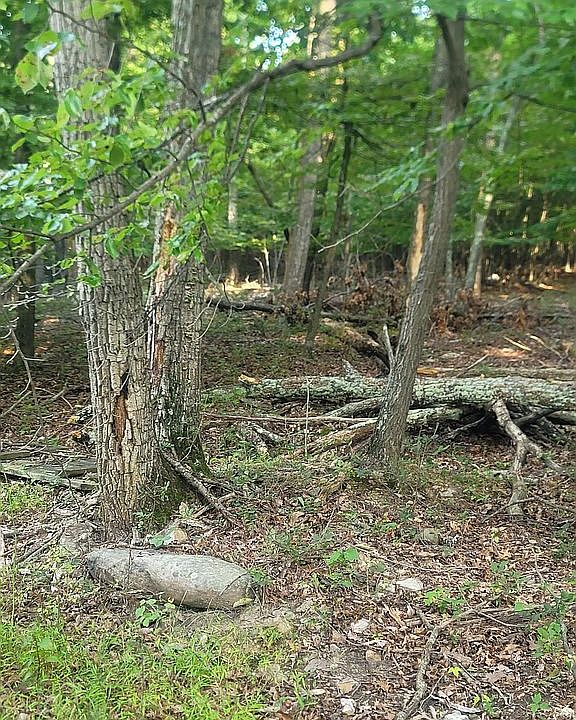 2nd image of 669 Capon Woods Resort Rd