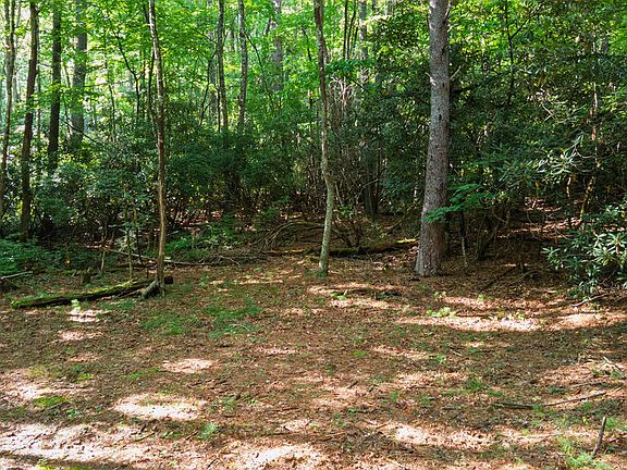 3rd image of 788 Rainey Knobs Rd