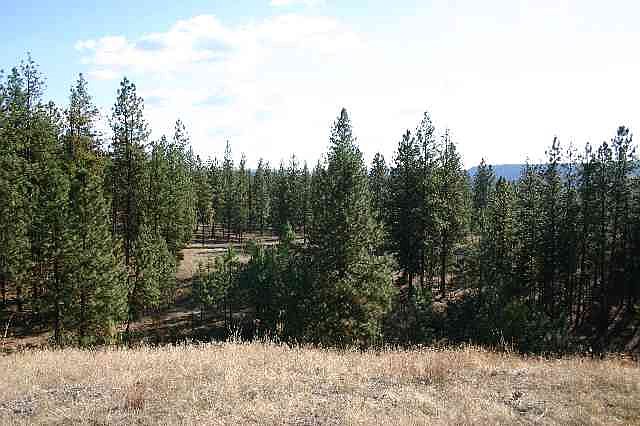 1st image of 0 N River Park Ln