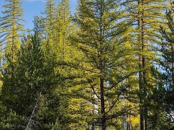 104th image of this home