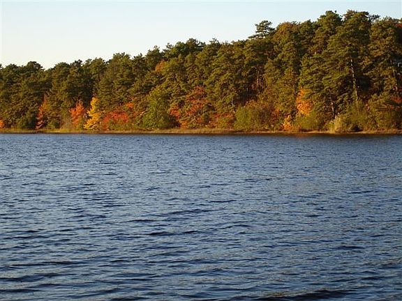 Elbow Pond