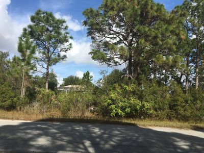 329 Piper St NW, Lake Placid, FL, 33852