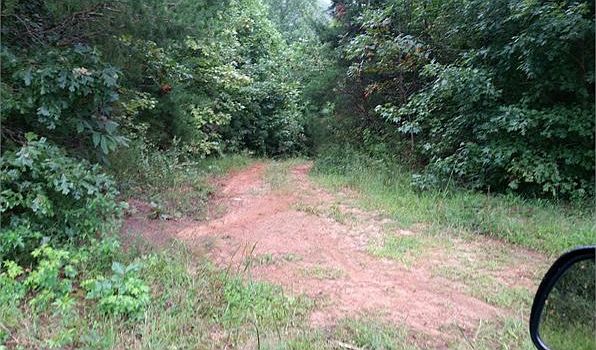 2nd image of 8322 Ellijay Rd