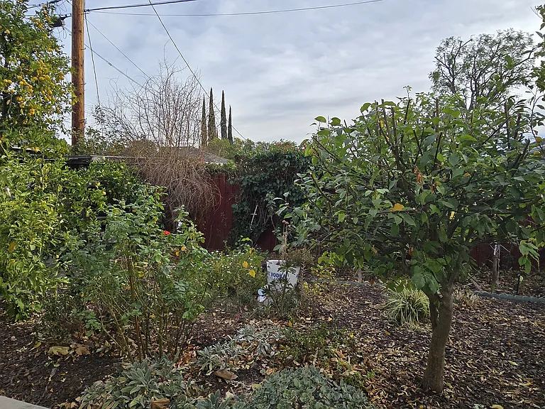 6212 Zelzah Ave — Photo 16