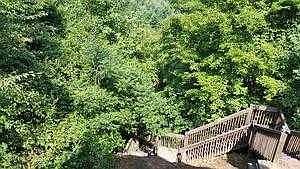 Stairway to River