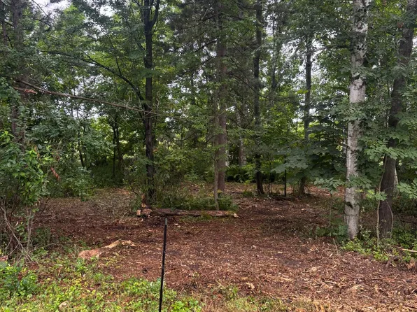 W Bone Lake Dr, Milltown, WI 54858