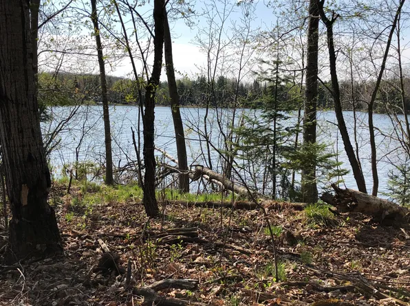 15644 Island Dr, Wolverine, MI 49799