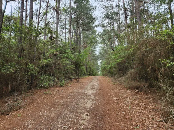 LOT 25 N Council Dr, Hempstead, TX 77445