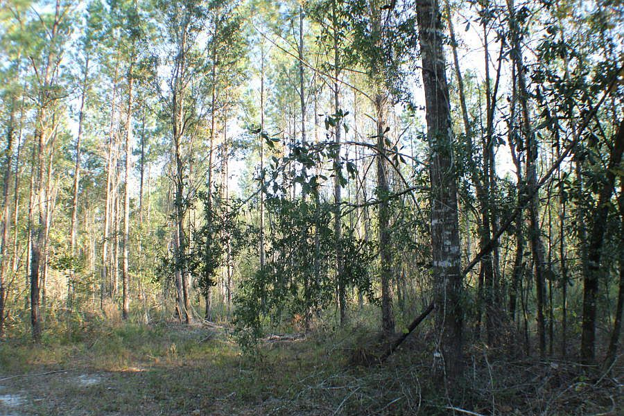 1st image of 15 Ac Welannee Blvd