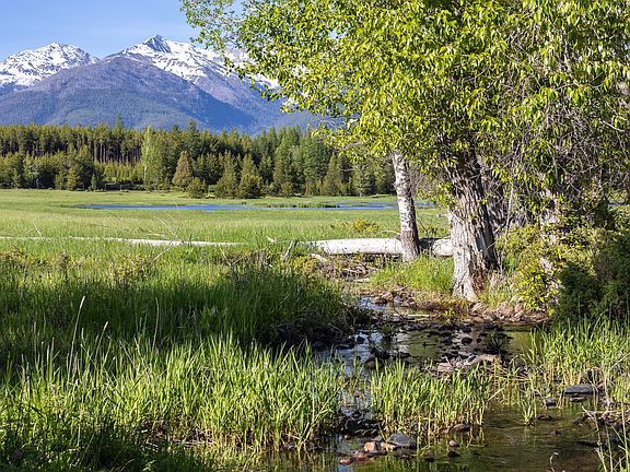 90th image of this home