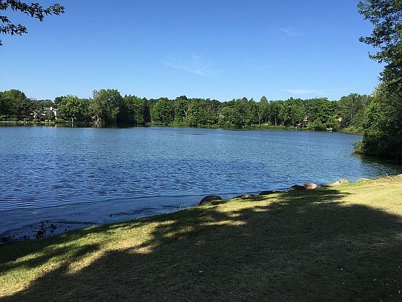 Shoreline view