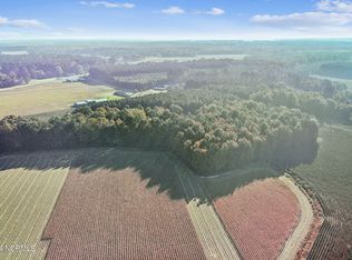 19-19A White Oak Rd, Eure, NC 27935