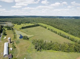 180 Puckerville Rd, Bainbridge, NY 13733