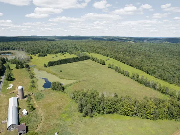 180 Puckerville Rd, Bainbridge, NY 13733