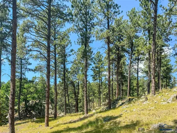 TRACT Campfire Three Meadows Rd, Keystone, SD 57751