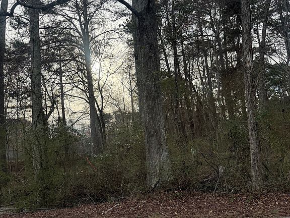 2nd image of 158 Alexander Rd